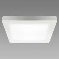 Stropné svietidlo OLGA LED D 24W WHITE CCT 04063 PL1