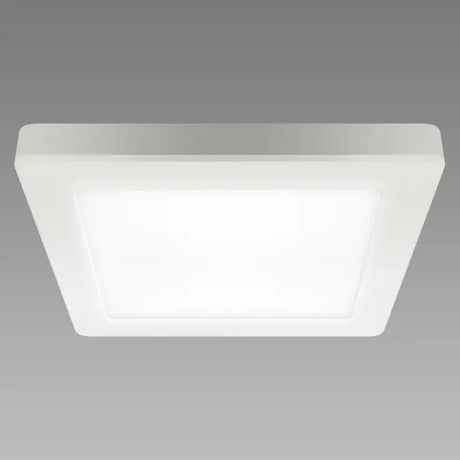 Stropné svietidlo OLGA LED D 24W WHITE CCT 04063 PL1