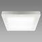 Stropné svietidlo OLGA LED D 24W WHITE CCT 04063 PL1