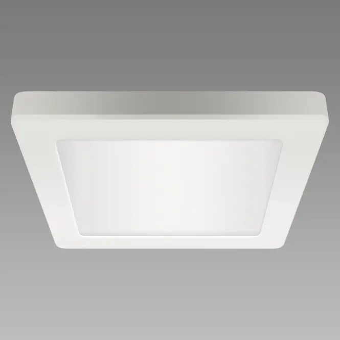 Stropné svietidlo OLGA LED D 24W WHITE CCT 04063 PL1