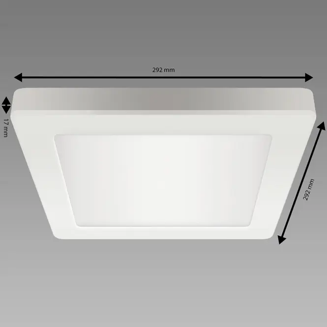 Stropné svietidlo OLGA LED D 24W WHITE CCT 04063 PL1