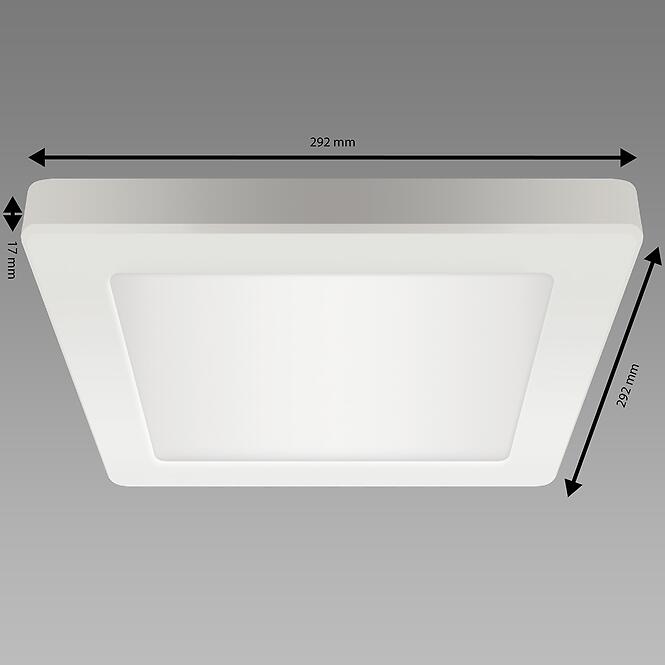 Stropné svietidlo OLGA LED D 24W WHITE CCT 04063 PL1