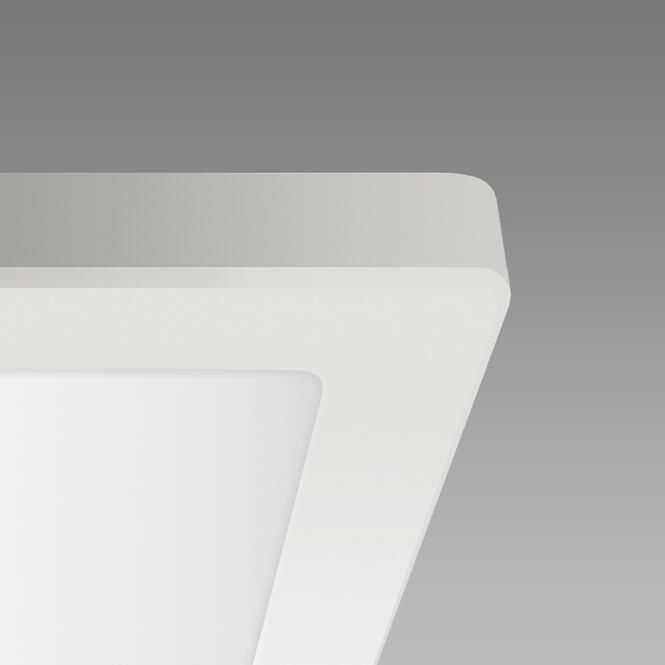Stropné svietidlo OLGA LED D 24W WHITE CCT 04063 PL1