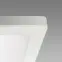 Stropné svietidlo OLGA LED D 24W WHITE CCT 04063 PL1,4