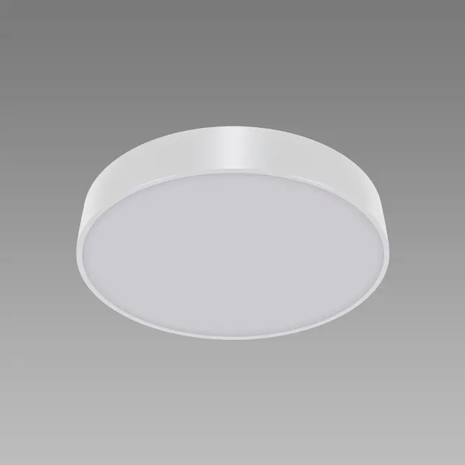Stropné svietidlo TOTEM LED C 24 W NW WHITE 04090 PL1