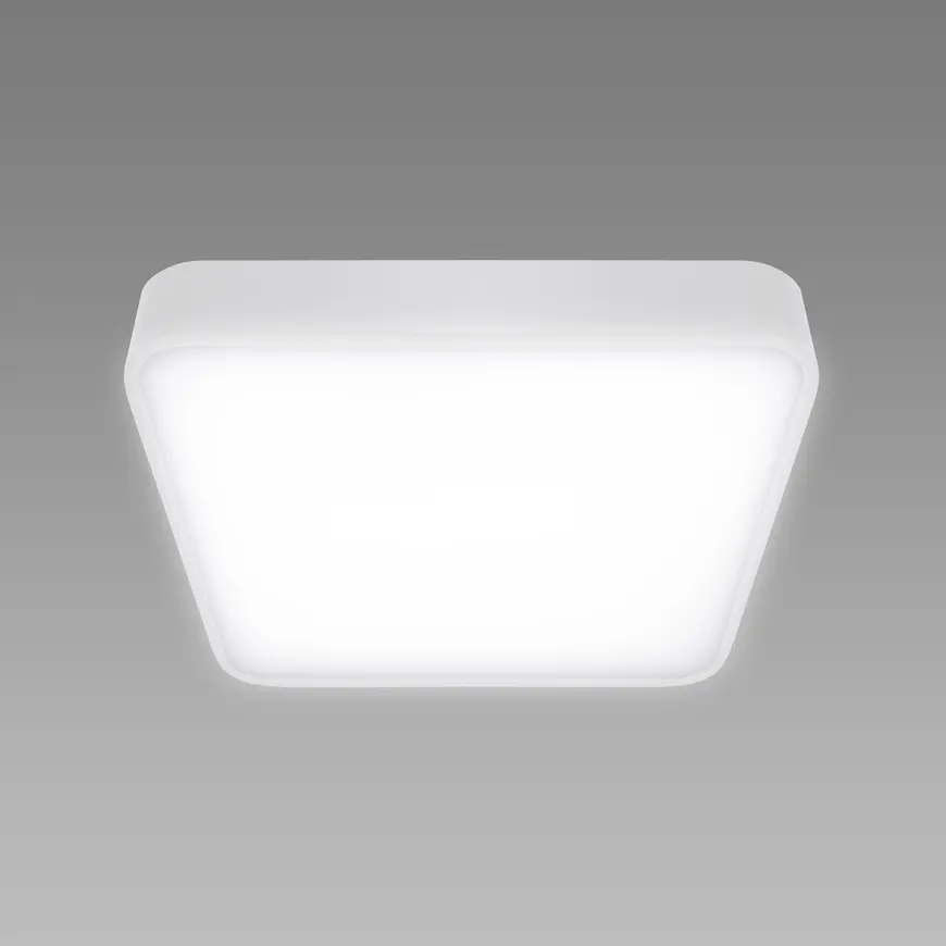 Fotografia produktu: Stropné svietidlo  TOTEM LED D 24 W NW WHITE 04097 PL1