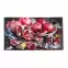 Koberec Print Pera Cherie 0,8/1,5 05024(01),2