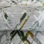 Koberec Print Pera Miso 1,6/2,3 01266(02),6