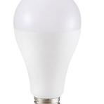 Žiarovka LED 17W E27 6500K