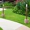 Lampa Boston 3159SW 15W Wood S LS1,5