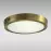 Stropnica  LED RING 18W 4200K okrúhla satén