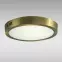 Stropnica LED RING 24W 4200K okrúhla satén