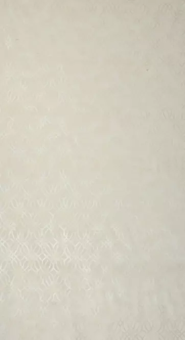 Záves ARETA 140X250 na priechodkách 390154