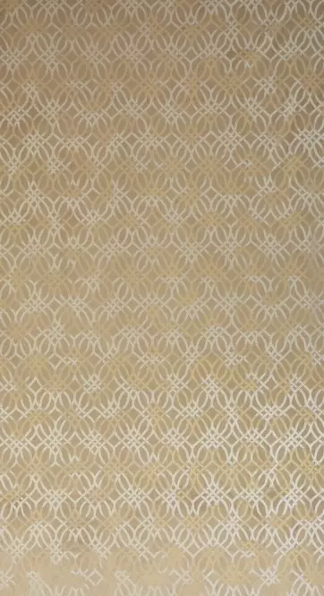 Záves ARETA 140X250 na priechodkách 390155