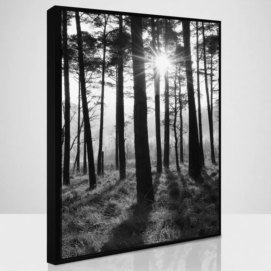 Obraz SB50x70.087L18.37.001