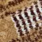 Koberec New Shiraz 0.8/1.5 3829 B55,5
