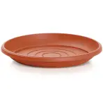 Podmiska Terra POD25 14247