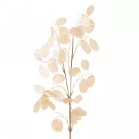 Halúzka ozdobná 75 cm perlová 220177