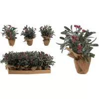 Kvet v kvetináči 23 cm red 317903220