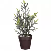 Stromček zelená omrznutý výš. 30 x hl. 15 cm 1121023