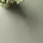 TV stolík Forest 158 eukalyptus/jedľa scandi,9