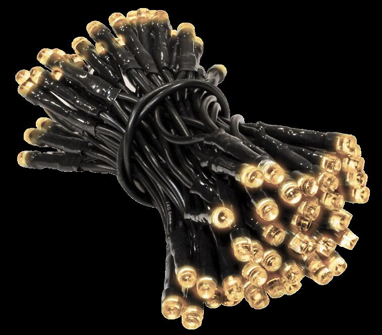 Vianočné svetielka LED 100l 13/21/bat zew.pg.+Tm. Ww