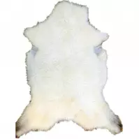 Koža veľká