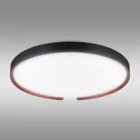 Stropná lampa ESPERANTO LED C 24W SMART WI-FI 04076 PL1