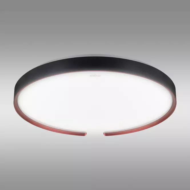 Stropná lampa ESPERANTO LED C 24W SMART WI-FI 04076 PL1