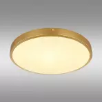 Stropná lampa Tibey 12381-22 LED PL1