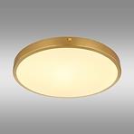 Stropná lampa Tibey 12381-22 LED PL1