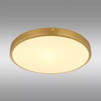 Stropná lampa Tibey 12381-22 LED PL1