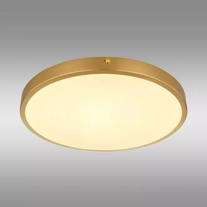 Stropná lampa Tibey 12381-22 LED PL1