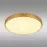 Stropná lampa Tibey 12381-22 LED PL1