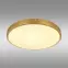 Stropná lampa Tibey 12381-22 LED PL1