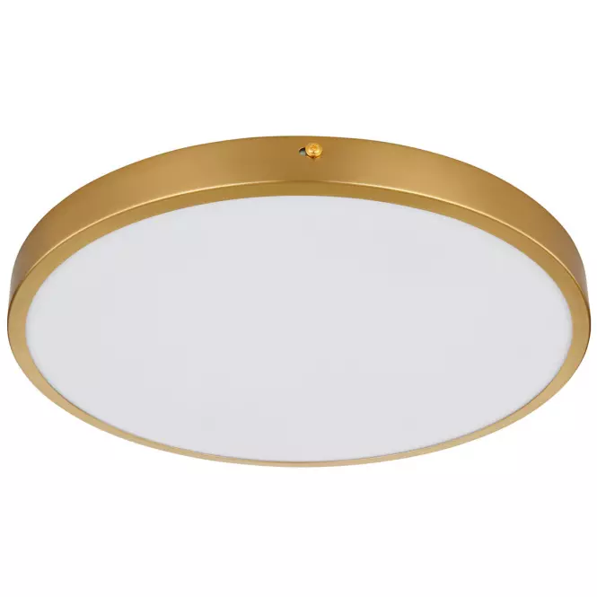 Stropná lampa Tibey 12381-22 LED PL1,3