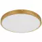 Stropná lampa Tibey 12381-22 LED PL1,3