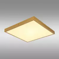 Stropná lampa Tibey 12382-22 LED PL1