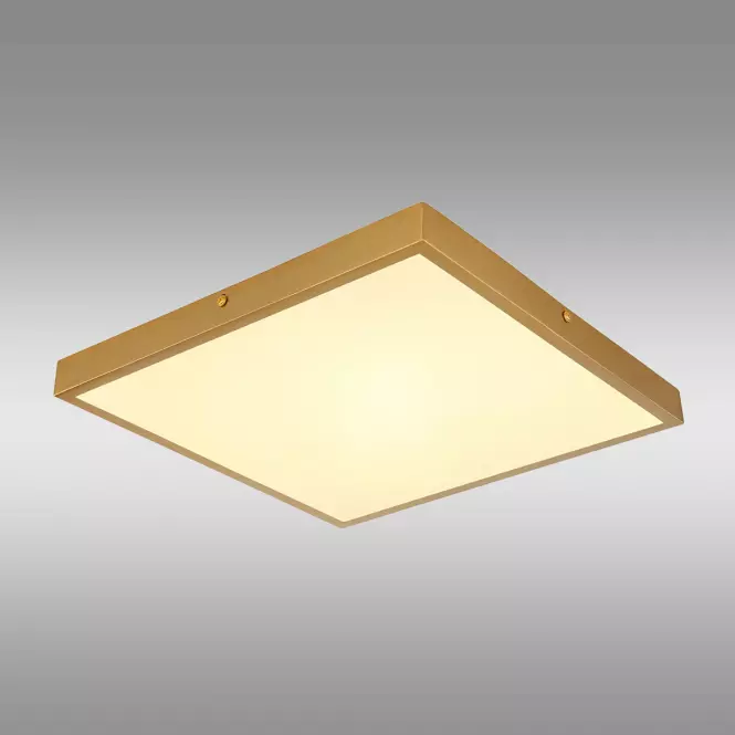 Stropná lampa Tibey 12382-22 LED PL1