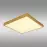 Stropná lampa Tibey 12382-22 LED PL1
