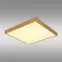 Stropná lampa Tibey 12382-22 LED PL1