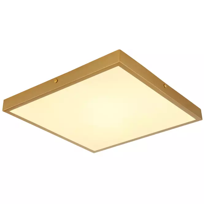Stropná lampa Tibey 12382-22 LED PL1,2