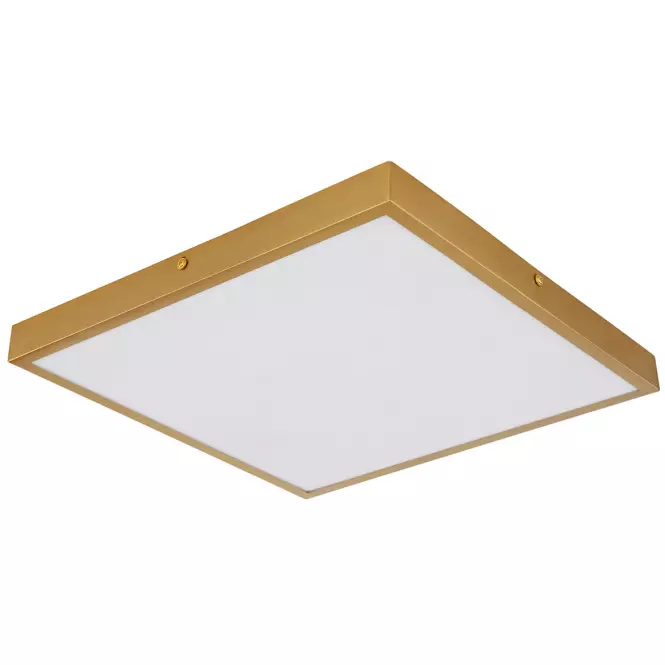 Stropná lampa Tibey 12382-22 LED PL1,3