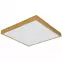 Stropná lampa Tibey 12382-22 LED PL1,3