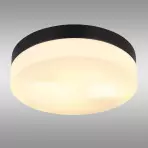 Stropná lampa Vranos 32112B PLD1