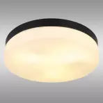 Stropná lampa Vranos 32113B PLD1