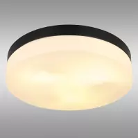 Stropná lampa Vranos 32113B PLD1