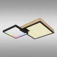 Stropná lampa Jacky 41392-21 RGB LED PL2