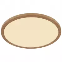 Stropná lampa Sapana 41562-18WW LED PL1
