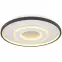 Stropná lampa Brienna 48552D LED PL1,5